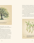 Book | Forty Ways to Know a Tree