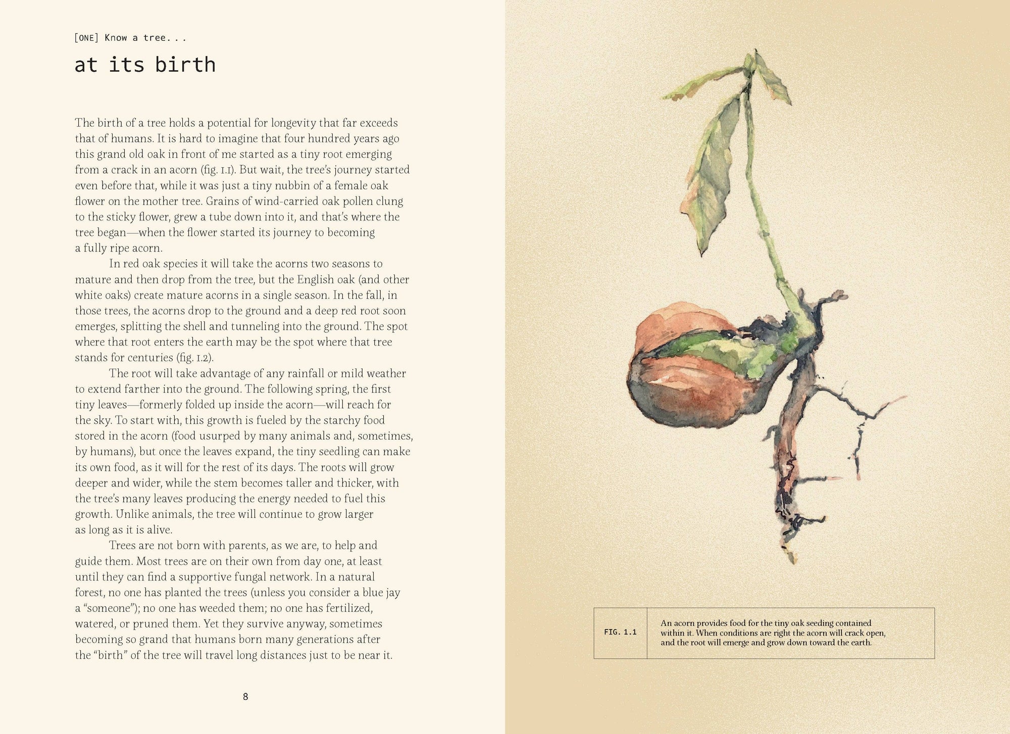 Book | Forty Ways to Know a Tree