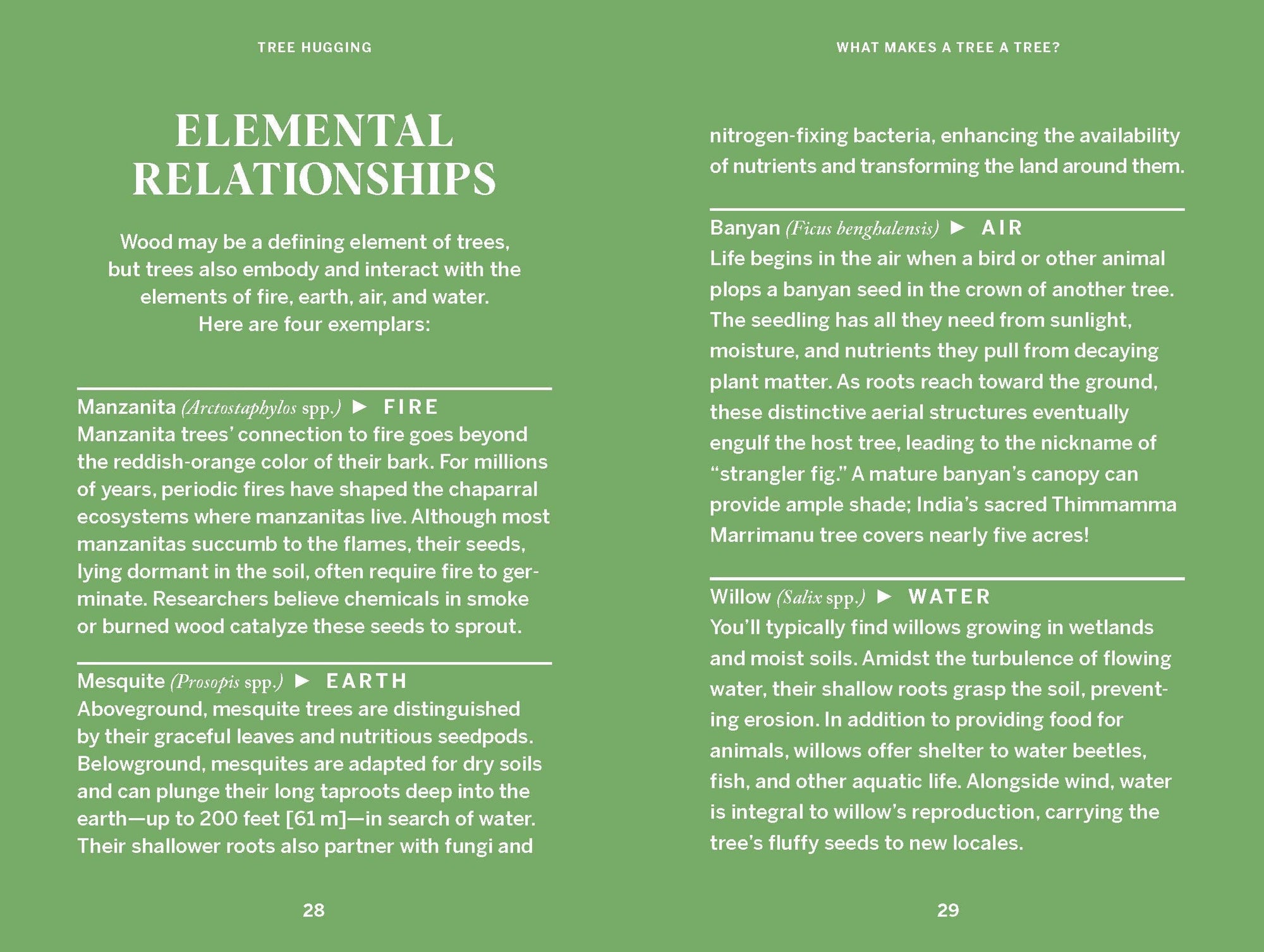 Book | Pocket Nature: Tree Hugging