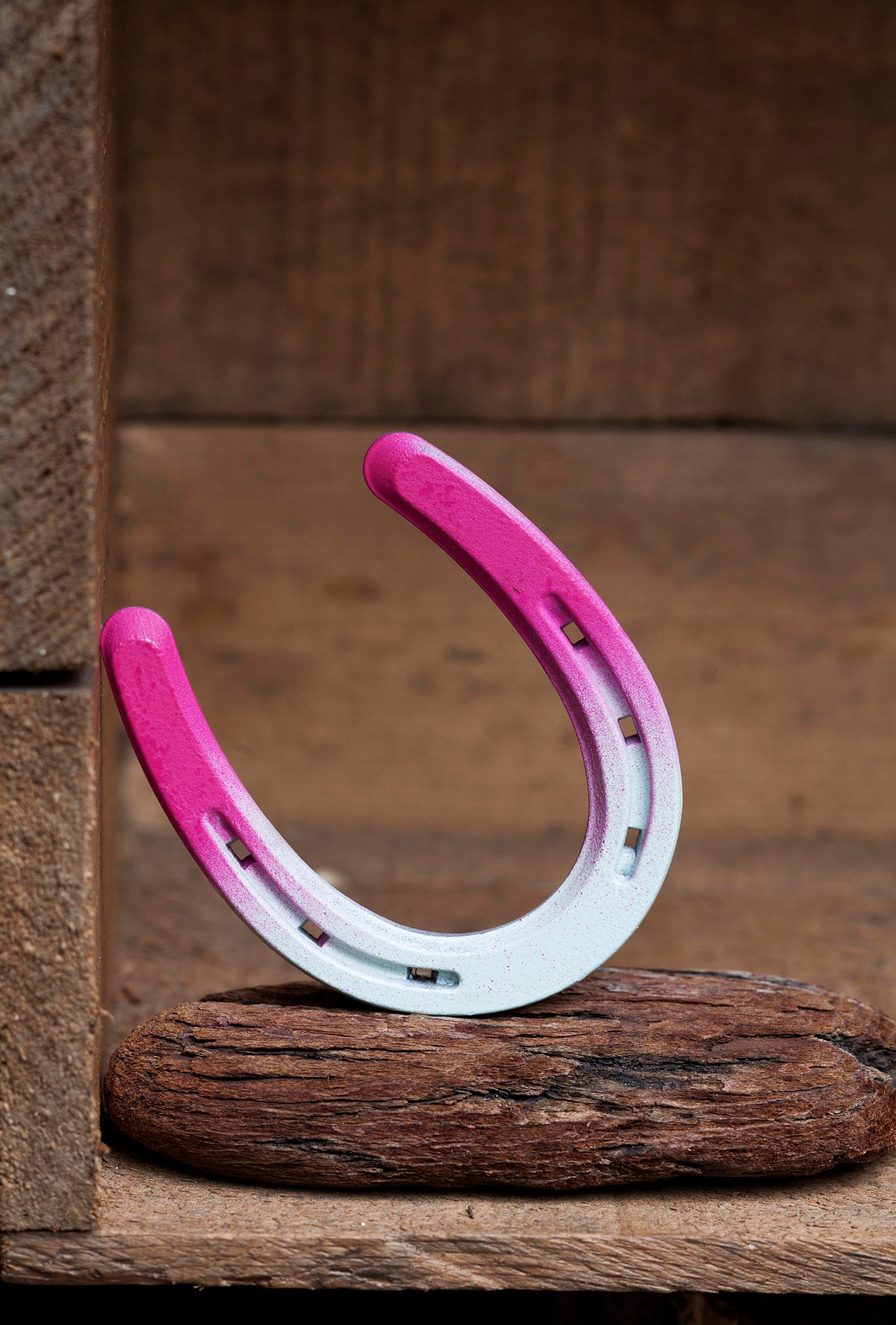 Delta Pony Shoe | Colorful Painted Horseshoe