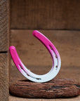 Delta Pony Shoe | Colorful Painted Horseshoe