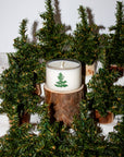 Coconut Soy Candle | Balsam Fir