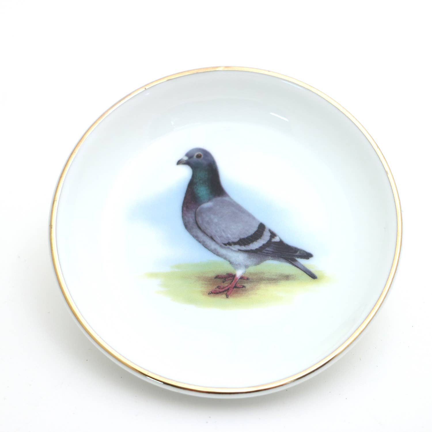 Ring Dish | Pigeon