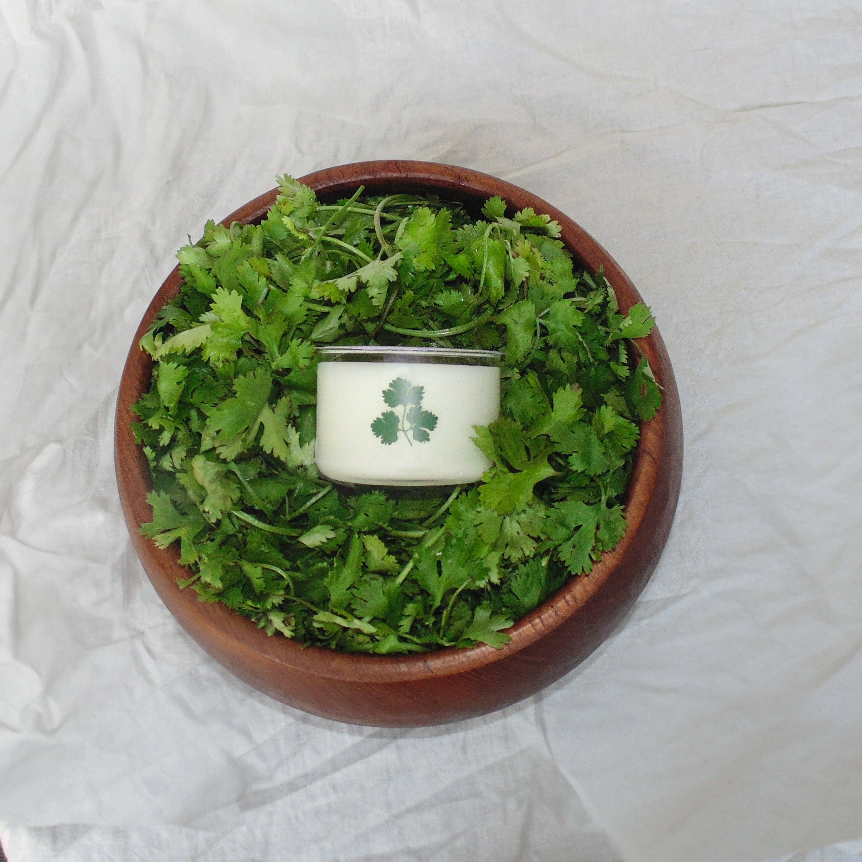 Cilantro Coconut Soy Candle smells just like fresh cilantro from the garden—earthy, green, and bright with a touch of spicy coriander.