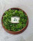 Cilantro Coconut Soy Candle smells just like fresh cilantro from the garden—earthy, green, and bright with a touch of spicy coriander.