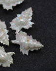 Ceramic Brooch | Conch Pin