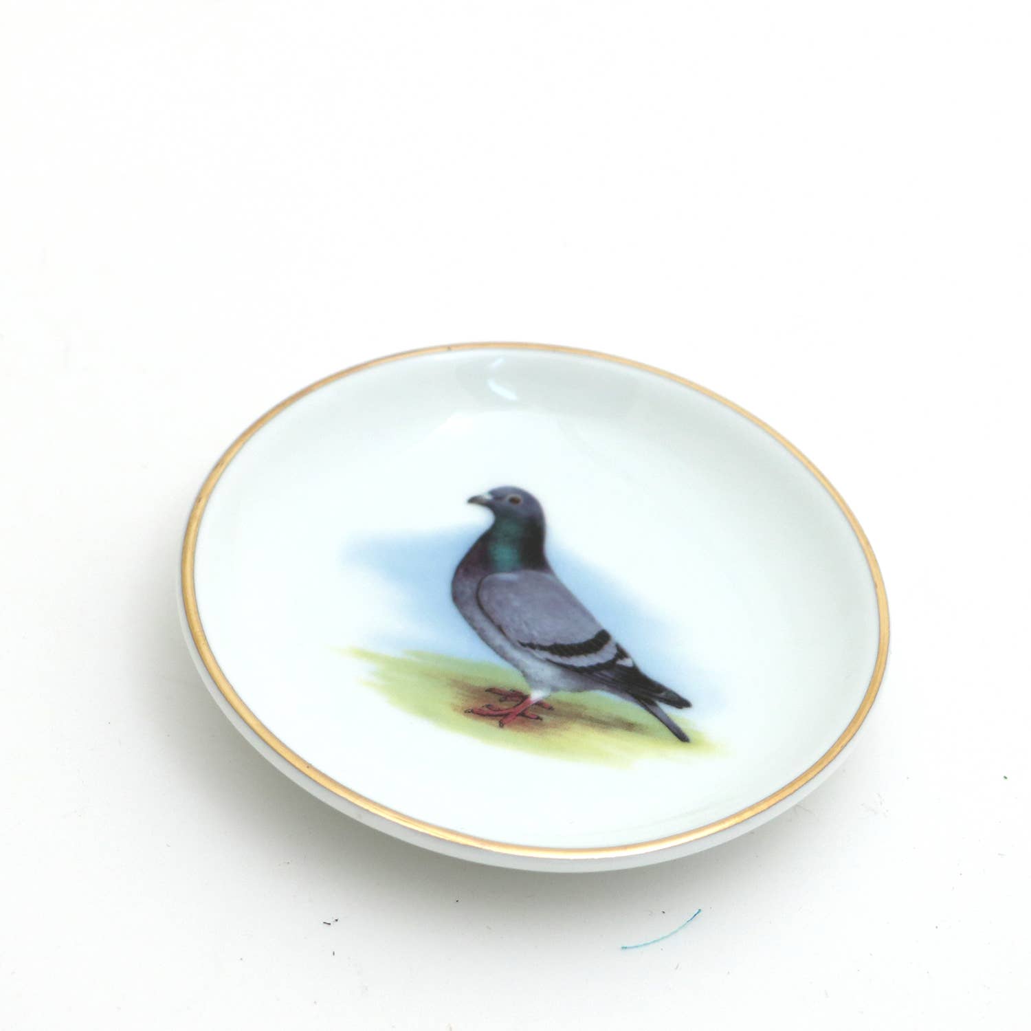 Ring Dish | Pigeon