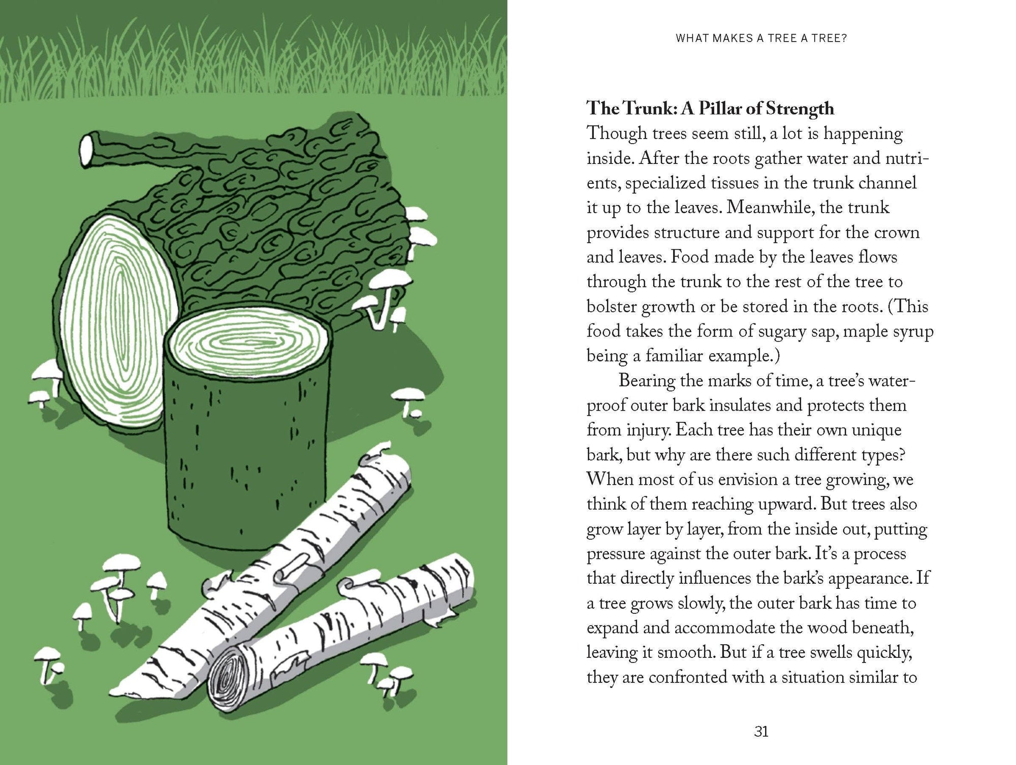 Book | Pocket Nature: Tree Hugging
