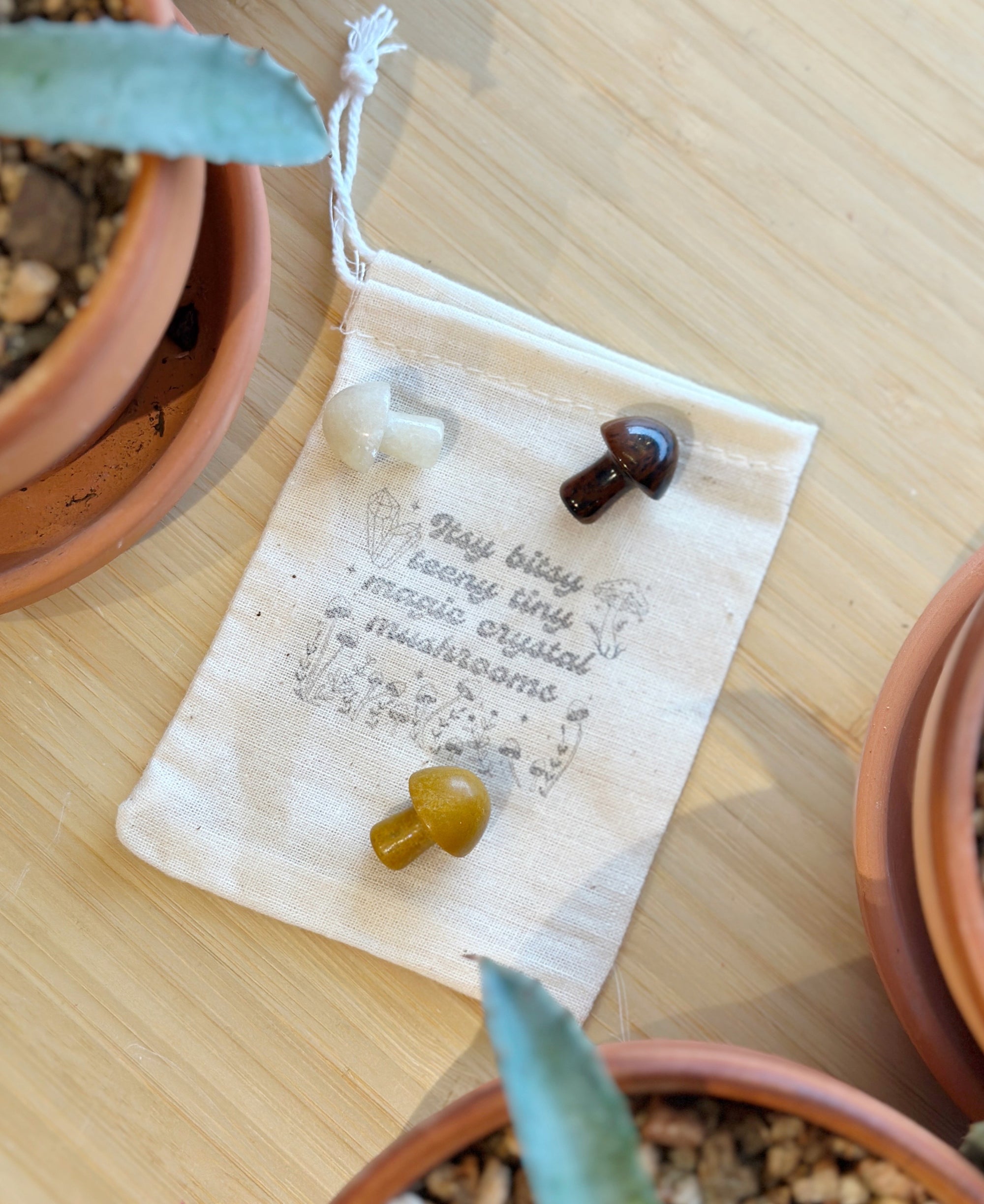 Teeny Tiny Magical Crystal Mushroom