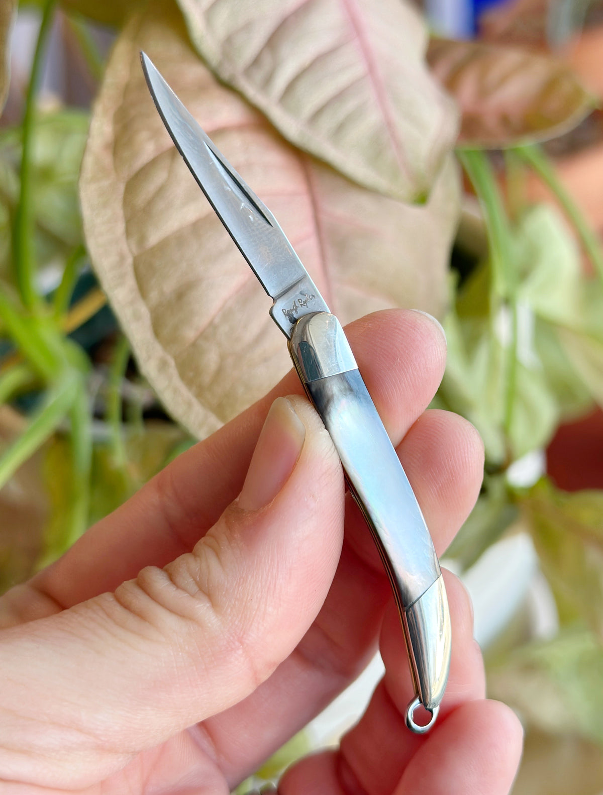 Mini Toothpick Knife | Black Pearl