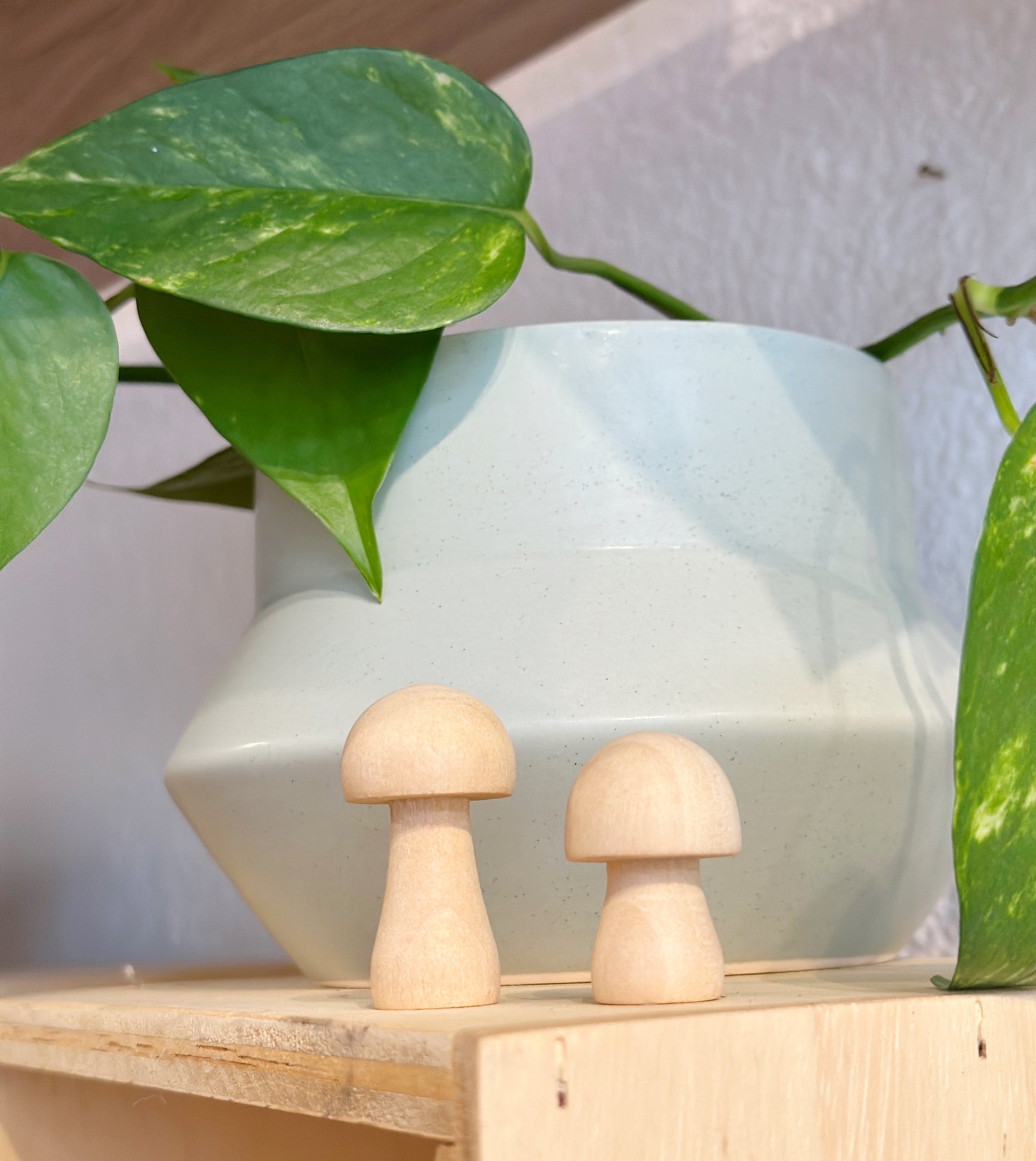 Wooden Mushrooms