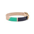 Large Willis leather dog collar with aqua and navy painted accent and brass buckle