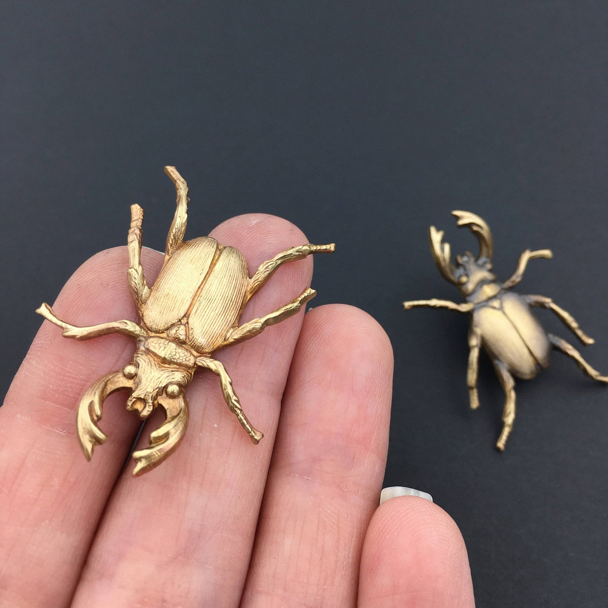 Insect Pin | Brass Stag Beetle