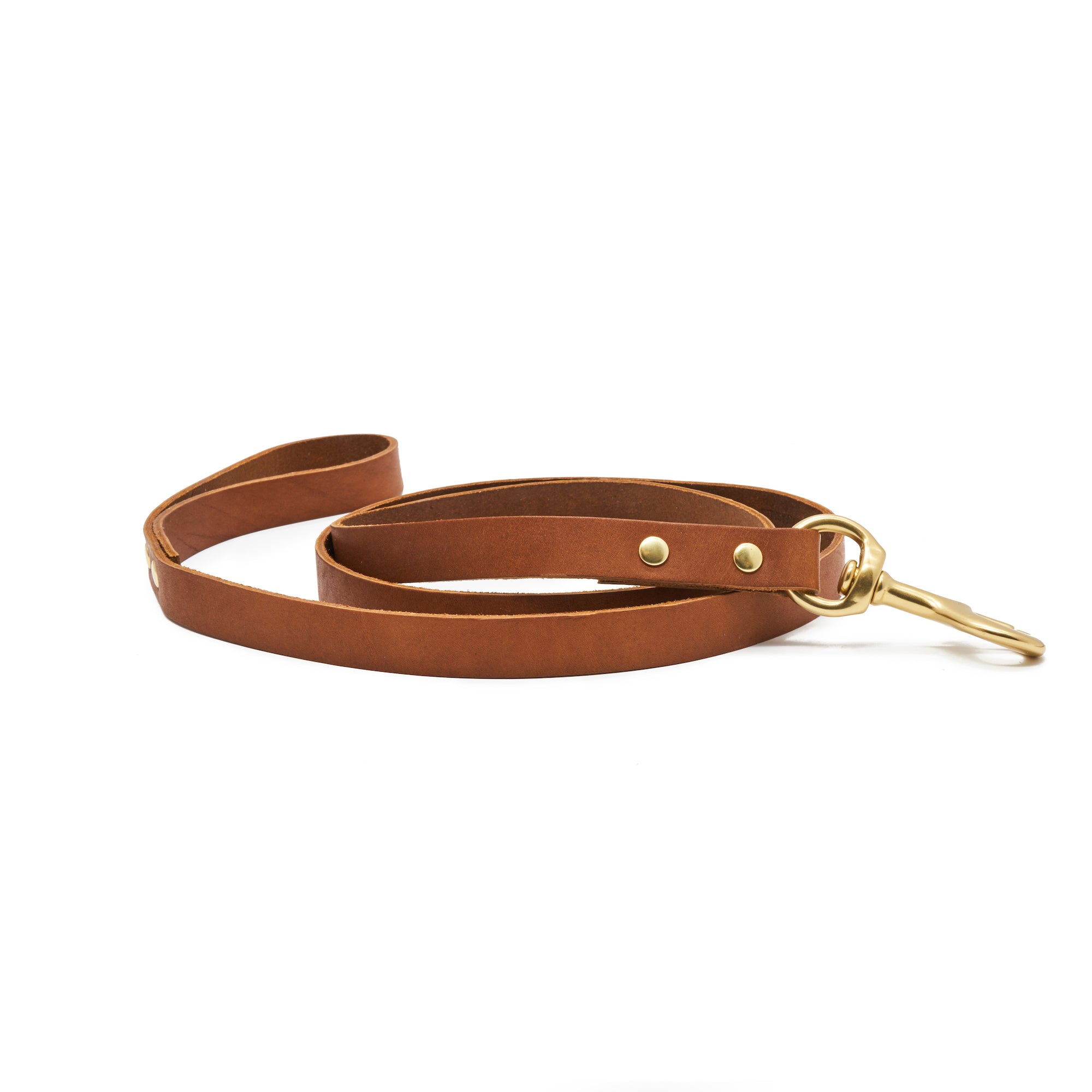 Eastwood Leather Leash