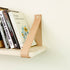 Affirm shelf on leather straps holding a row of books
