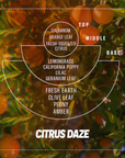 Soy Candle | SOFT FOCUS Citrus Daze