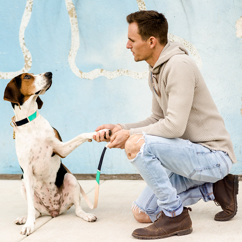 Now you can customize our Willis Eastwood pet line by choosing your paint colors! Choose the perfect colors to reflect your pet&#39;s style! For the toughest little guy or the biggest softie, the Willis collar brings colorful personality to a classic leather design for your pet. Natural leather collar features 5 holes for the perfect fit. Finished with brass hardware and your choice of color block.