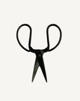 Scissors | Iron Large