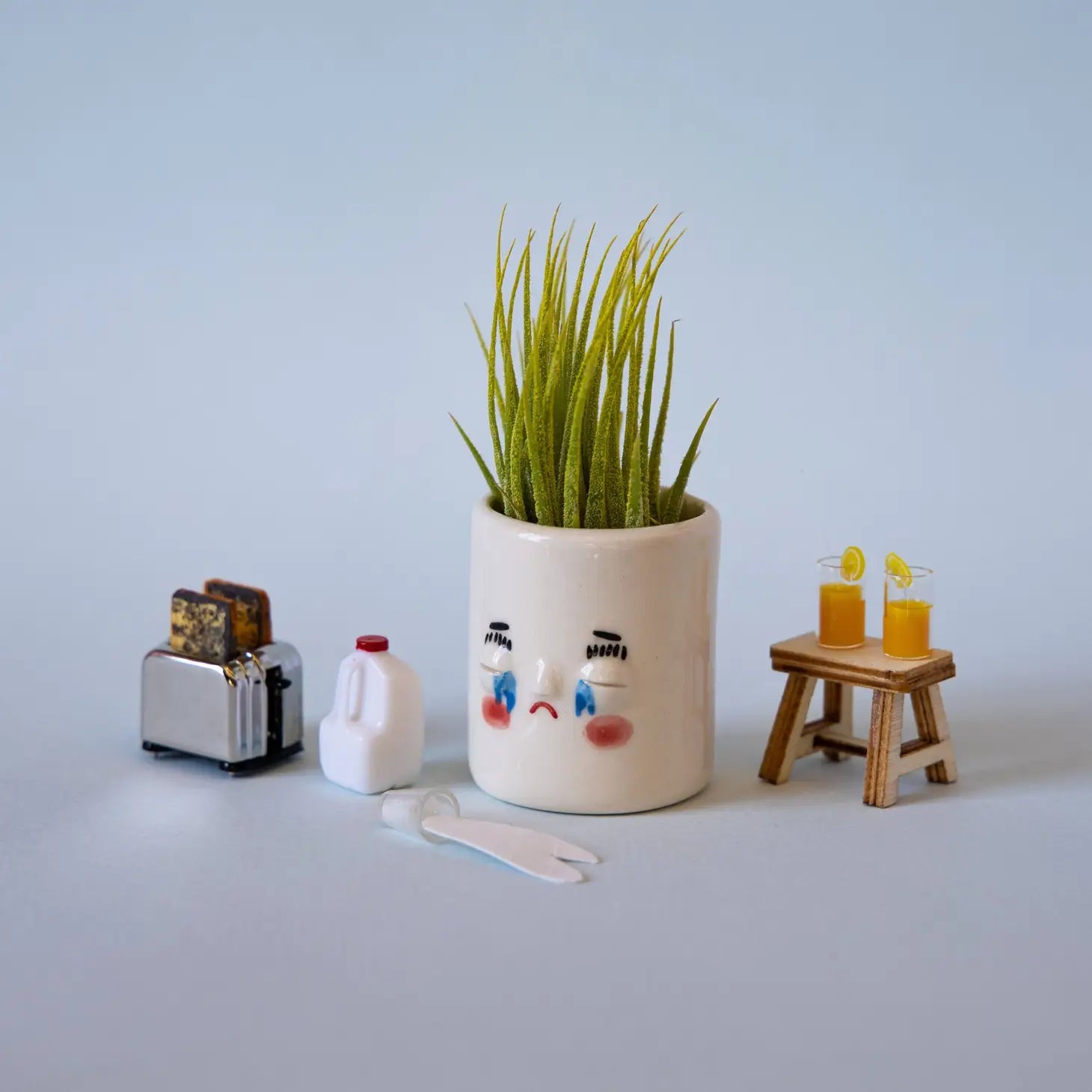 Mini Planter | Crybaby
